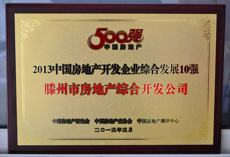 13-3-2013中國(guó)房地產(chǎn)開發(fā)企業(yè)10強(qiáng).jpg