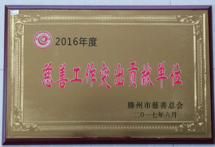 17-6-2016年度慈善工作突出貢獻(xiàn)單位.jpg